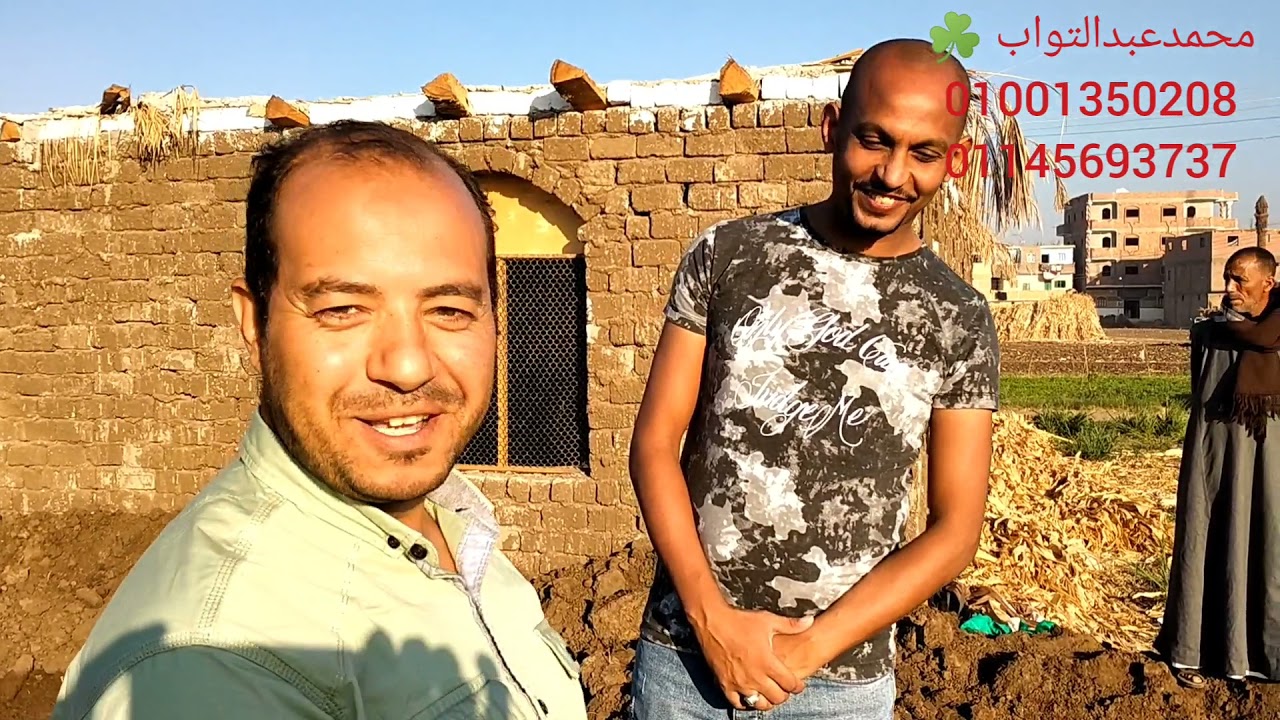 زرعنا الأزولا  ☘️الباناتا ☘️ فى سوهاج  الجزء الاول .جرب تعمل مشروع الازولا ☘️