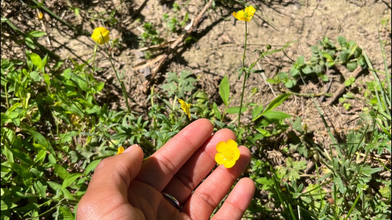 How Meditation Changed My Life For the Better