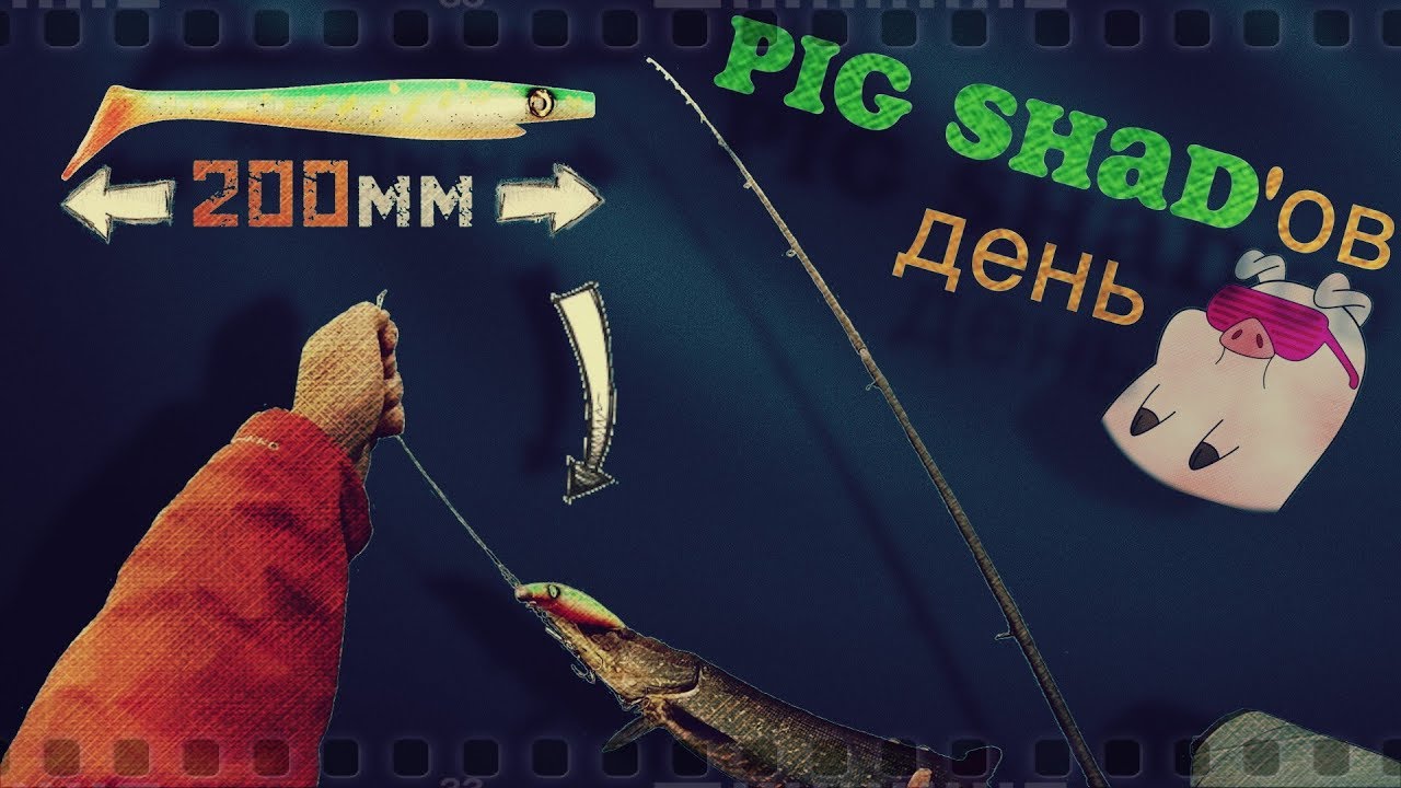 Гипер окунь на 200мм. Pig Shad'ов день. ( Реванш. часть2 )