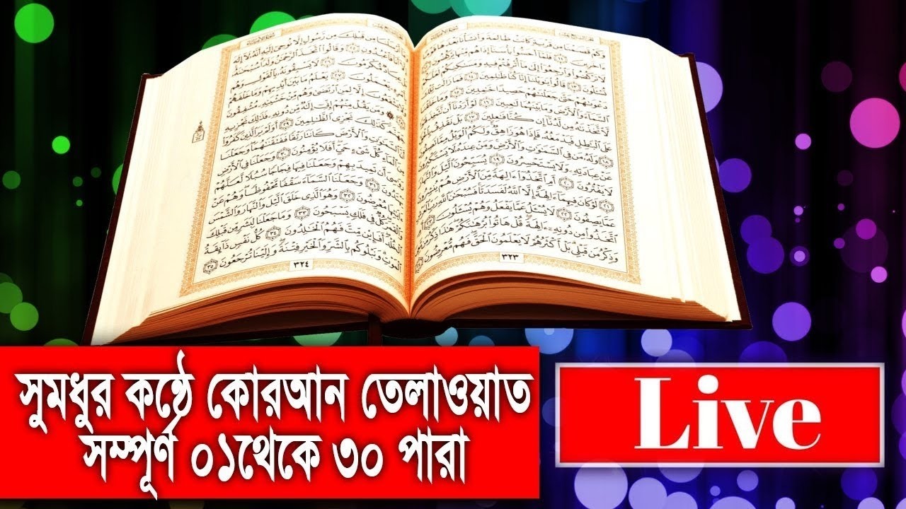 ১ থেকে ৩০ পারা সম্পূর্ণ কুরআন তেলাওয়াত | ফুল ৩০ পারা কুরআন শরীফ | Full Quran Tilawat Bangla 04