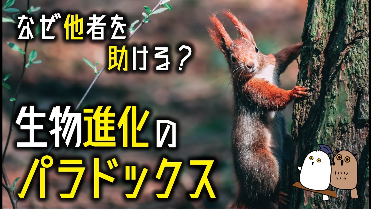 【ゆっくり解説】ダーウィンも悩んだ生物進化のパラドックス：利他行動・血縁選択・ハミルトンの法則【科学 / 進化】