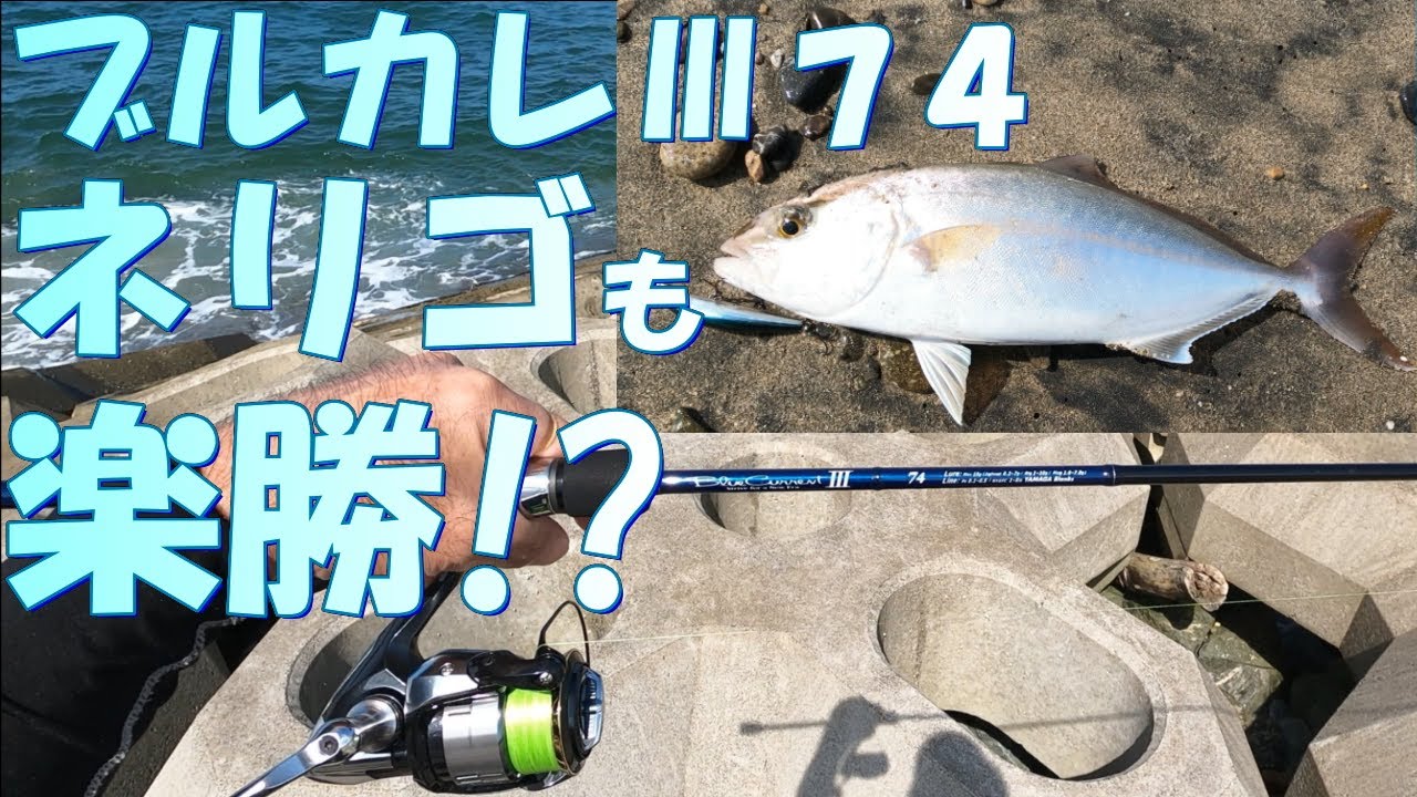 〔ライトゲーム〕ブルカレ最高！