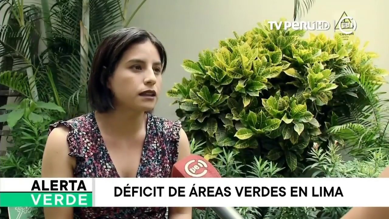Lima ocupa el último lugar en América del Sur en plantación de áreas verdes
