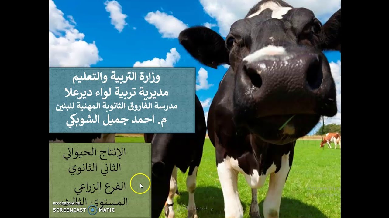 انتاج الحليب