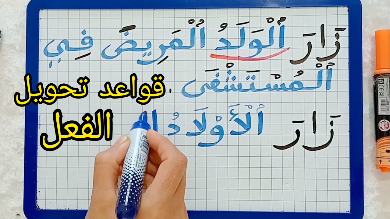 الدرس209:متى نحول الفعل ومتى لا نحوله الى المثنى والجمع/قواعد هامة في التحويل للمبتدئين