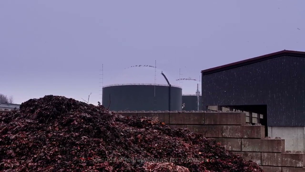 How to Turning Biomass into Biocarbon