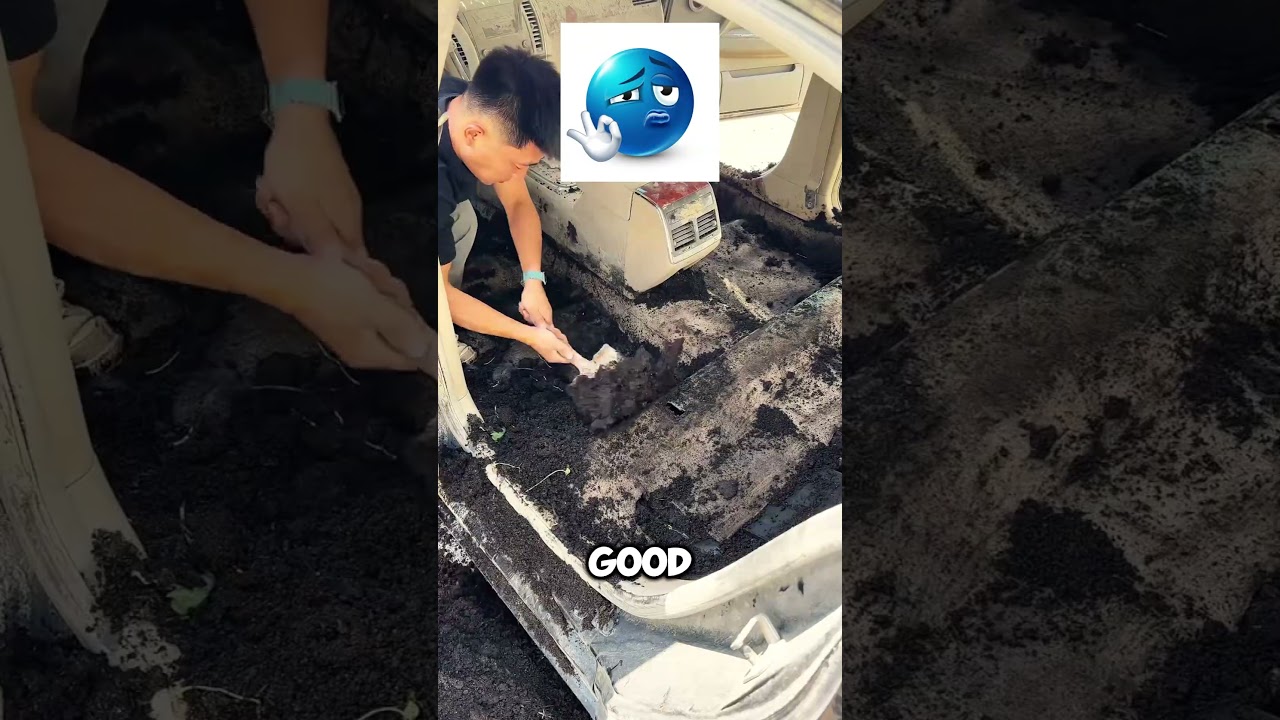 Идеальная машина 😋 #асмр #шорты #чистка
