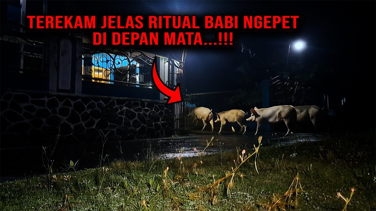 TEREKAM JELAS...!!! TAK DISANGKA RUMAH MEWAH INI MELAKUKAN PESUGIHAN TUYUL DAN BABI NGEPET