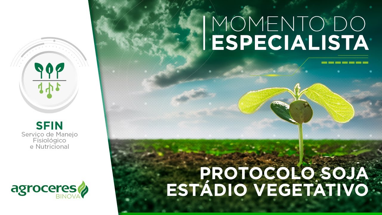Protocolo Soja Agroceres Binova - Estádio Vegetativo |  MOMENTO DO ESPECIALISTA