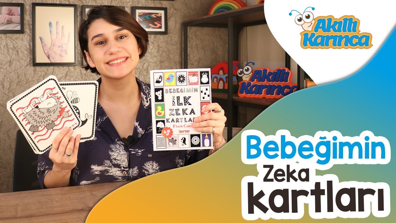 Dıytoy Bebeğimin İlk Zeka Kartları - Akıllı Karınca