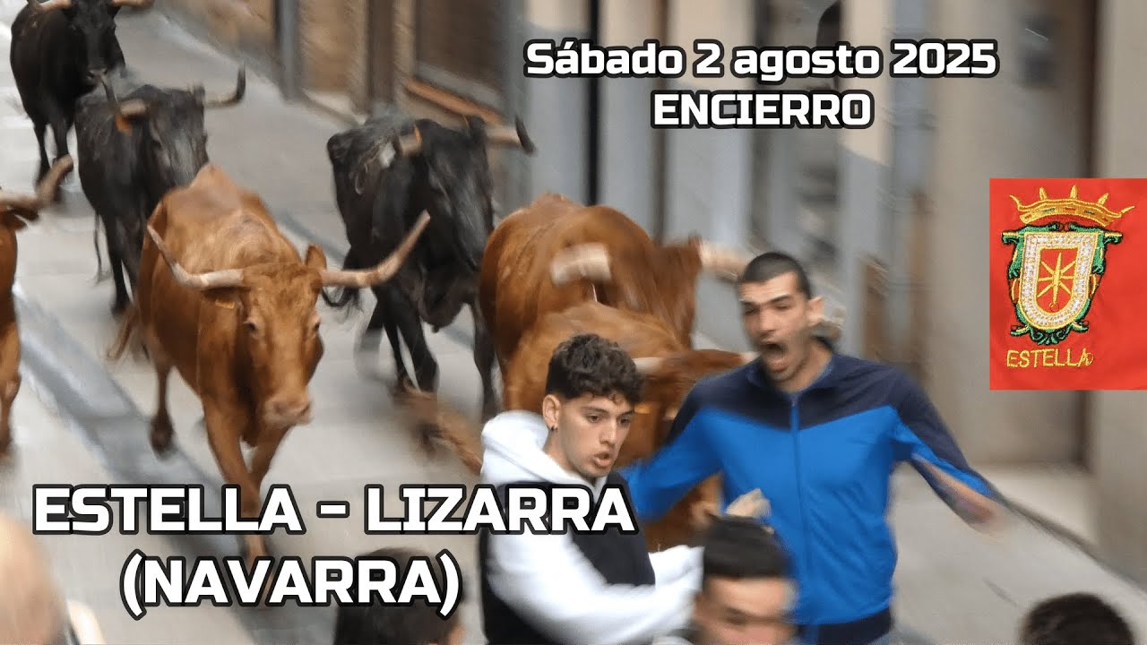 Estella encierro 2025 #estellafiestas2025 #estellavaquillas