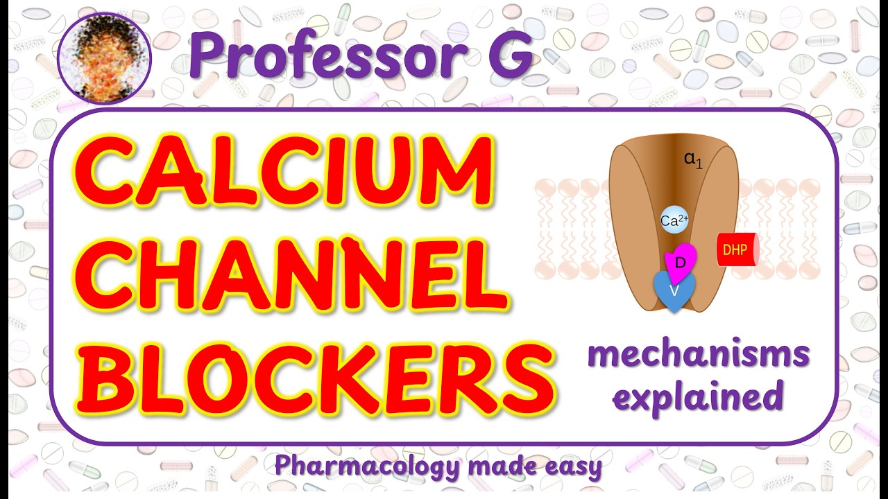 Calcium channel blockers.  Mechanisms of action and therapeutic uses of calcium antagonists.