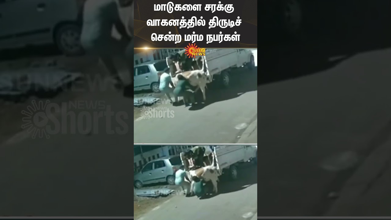 Chengalpattu | Cow Theft | Viral CCTV | Police | Sun News