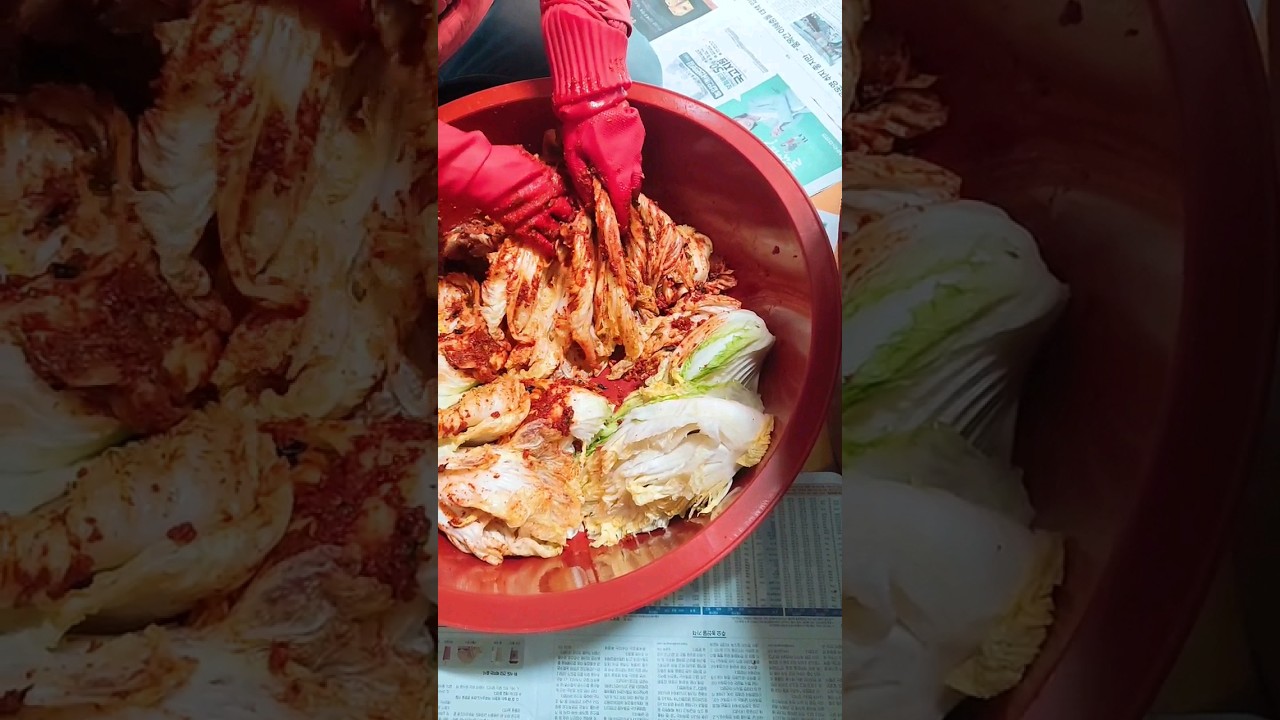 Kimjang(김장)kimchi season#