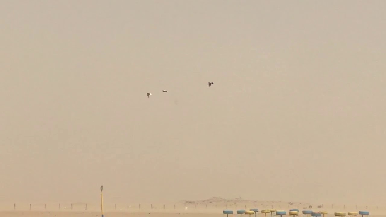 تحكيمة حامدالعنزي وعادل رشيد بدورة الموروث طير بطير موسم 2018
