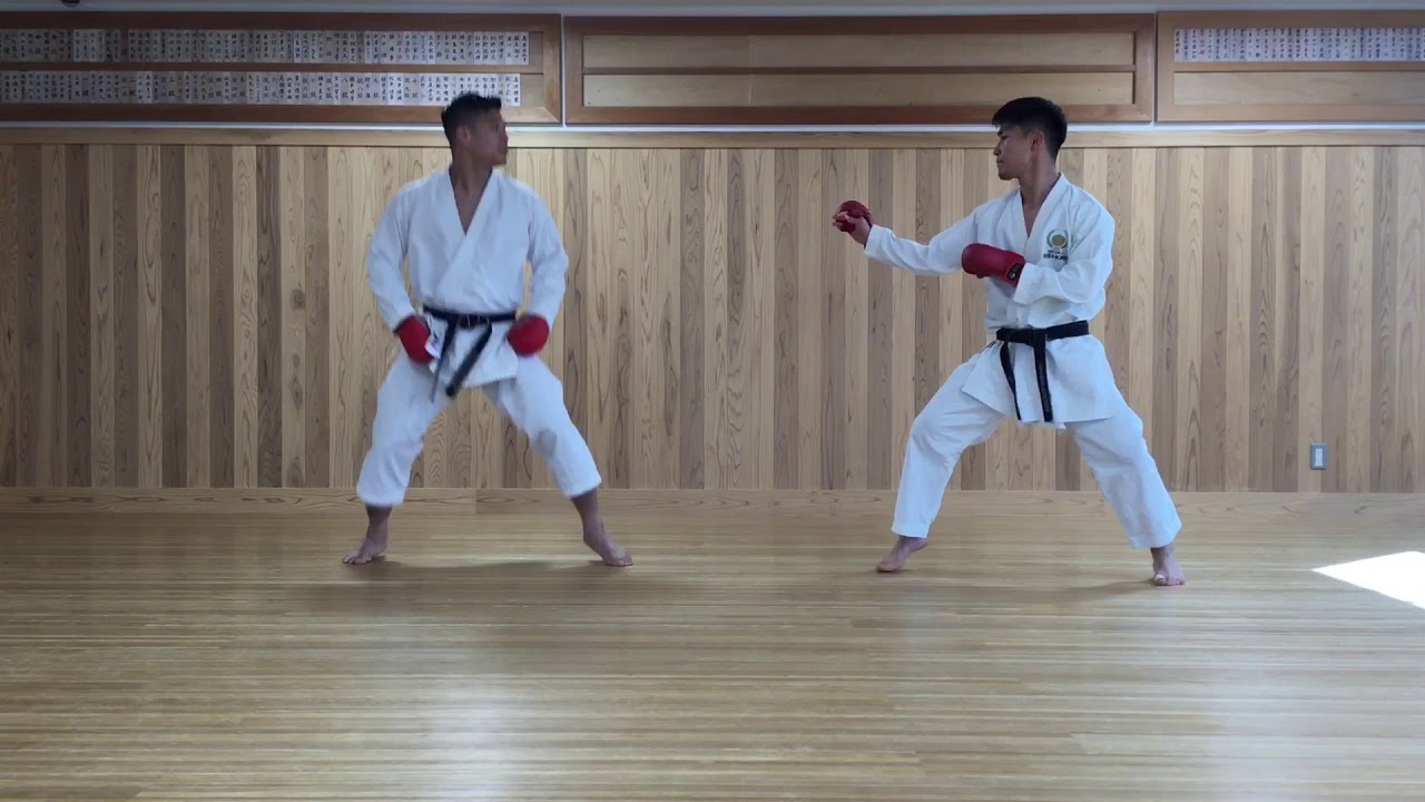 渡邊大輔　遠山将平　打ち込み　(刻み突き編)