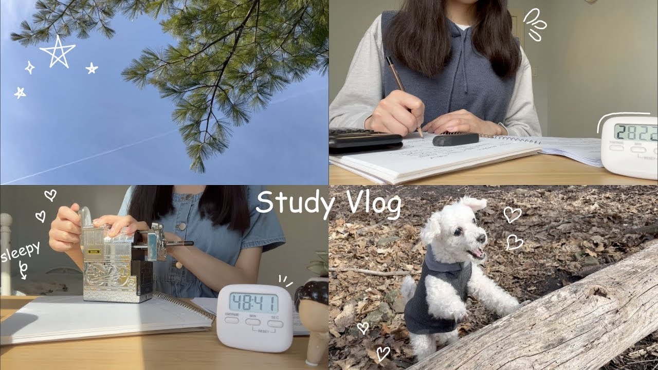 Study Vlog | Spring Break, Senior Year, High School ep1