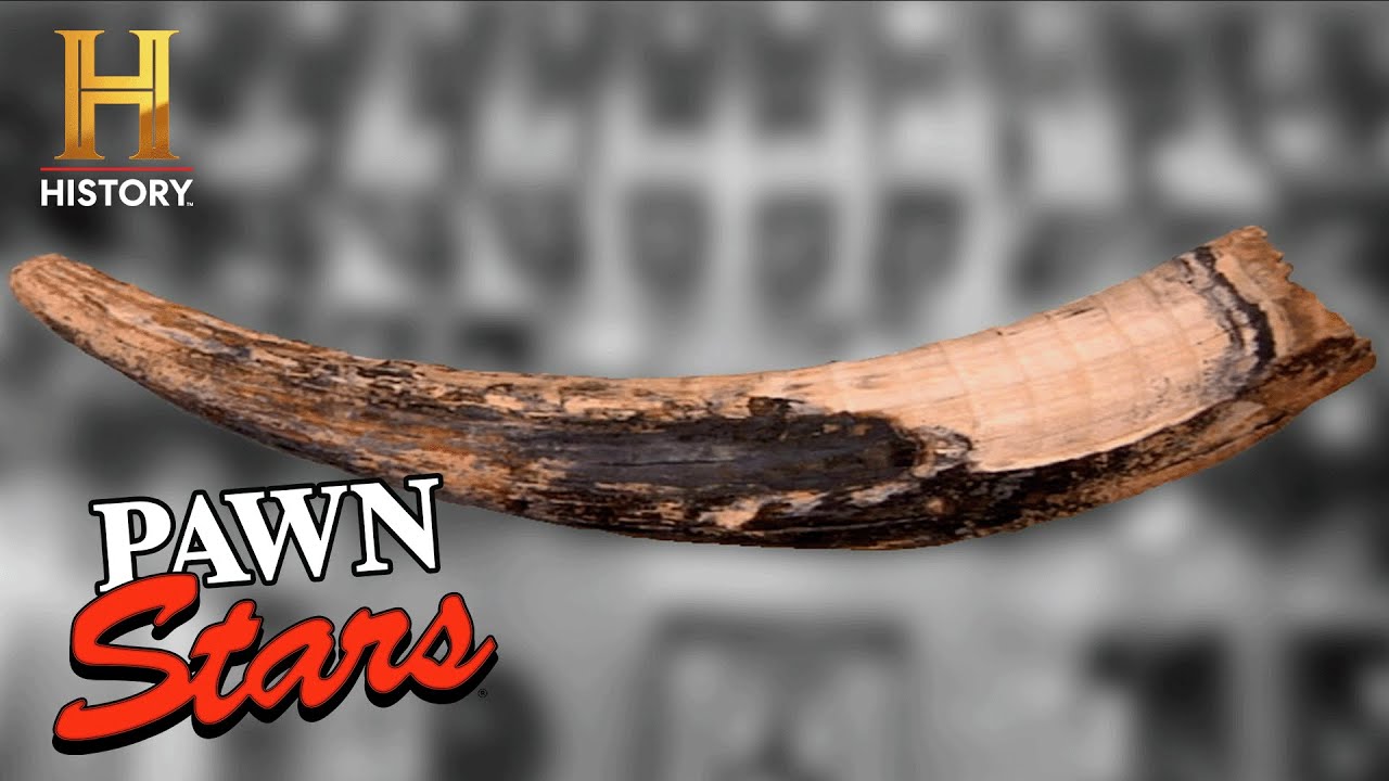 HUGE RISK = HUGE REWARD for 10,000-Year-Old Mastodon Tusk (Season 7) | Pawn Stars