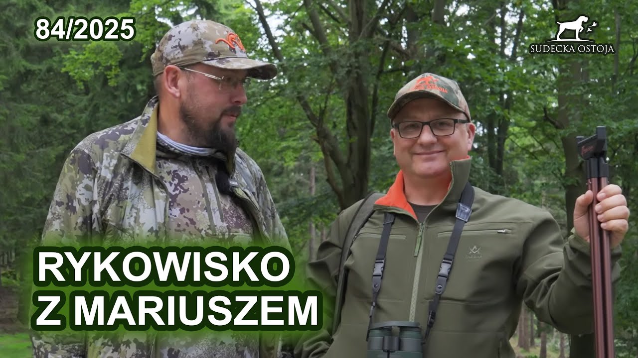 Rykowisko z Mariuszem, byk na rozkładzie - SUDECKA OSTOJA 84/2025