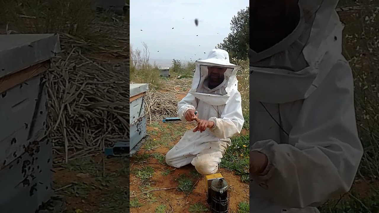 كيفية نزع طرد من الأم