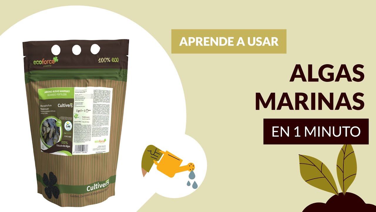 🟢 APRENDE a USAR ABONO ALGAS MARINAS SOLIDO en 1 Minuto 🚀 (Cultivers Eco)
