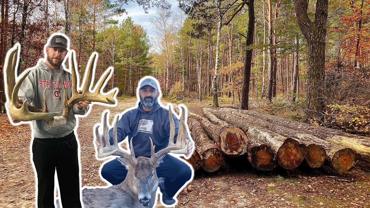 Why You Should Consult A Forester Before Timbering Your Hunting Land!
