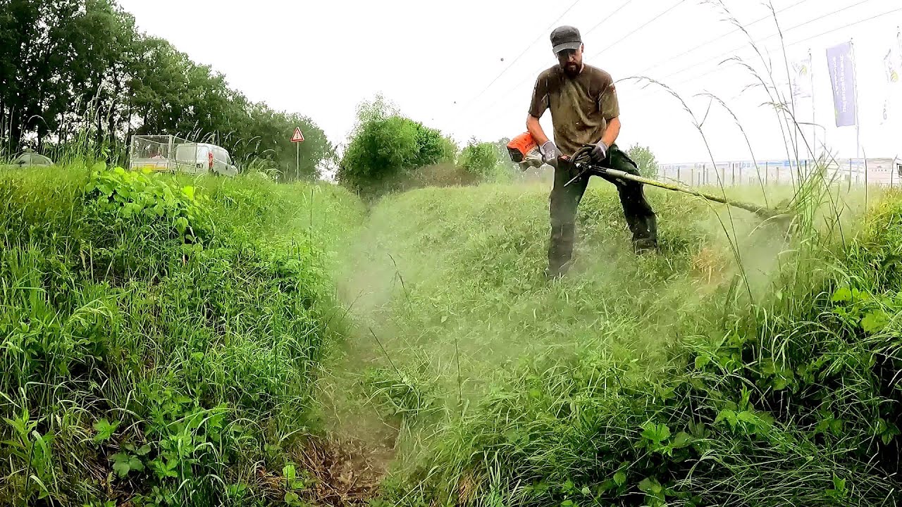Kustorez. Cutting of Tall grass in the Rain