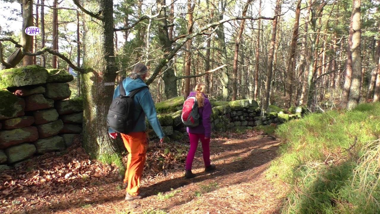 Lebensquelle Odilienberg - Teil 2:  Das Geheimnis der Heidenmauer