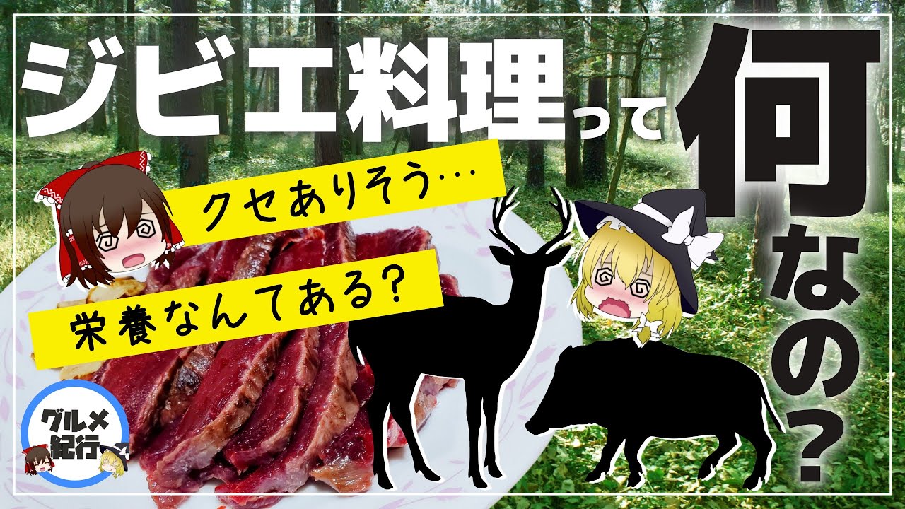 【ゆっくり解説】ジビエ料理って何？危険！？シカ肉の意外な栄養効果について