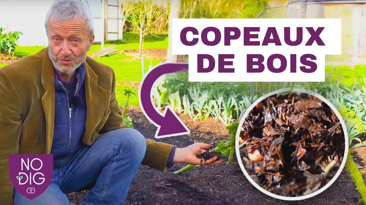 Cinq façons créatives d'utiliser les copeaux de bois.