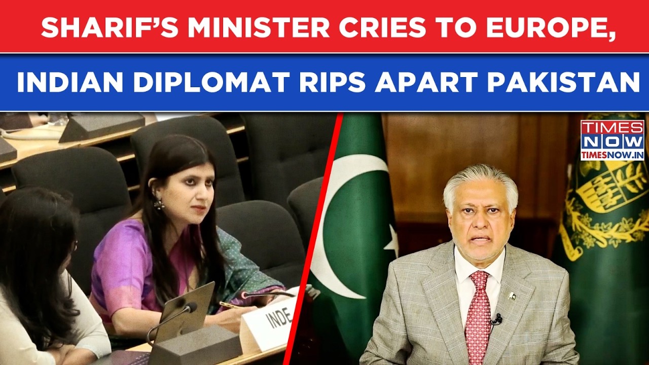 India's Diplomat Rips Apart Pakistan After Sharif's Minister Cries To World: Watch Indus Water Clash
