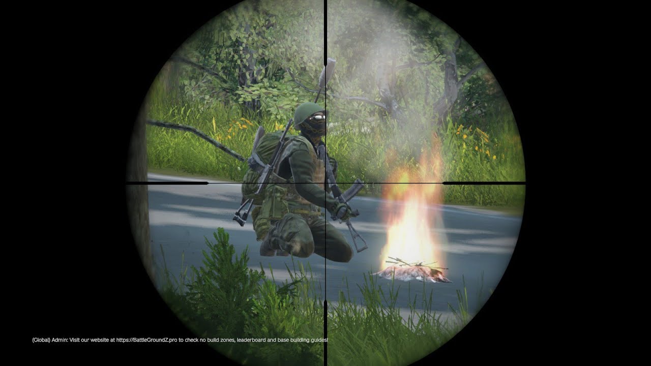 DAYZ LIVONIA #dayz   ☠🐺