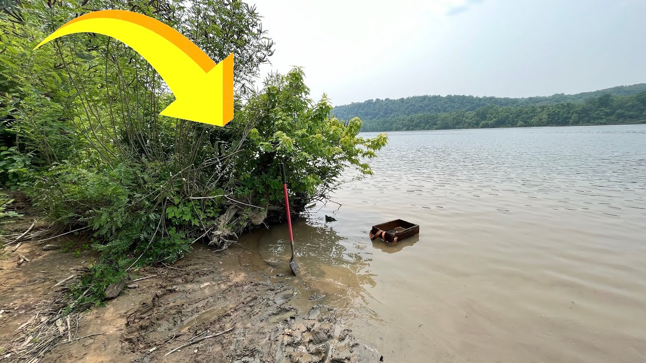 What Prehistoric Secrets Does This Bush Hide?