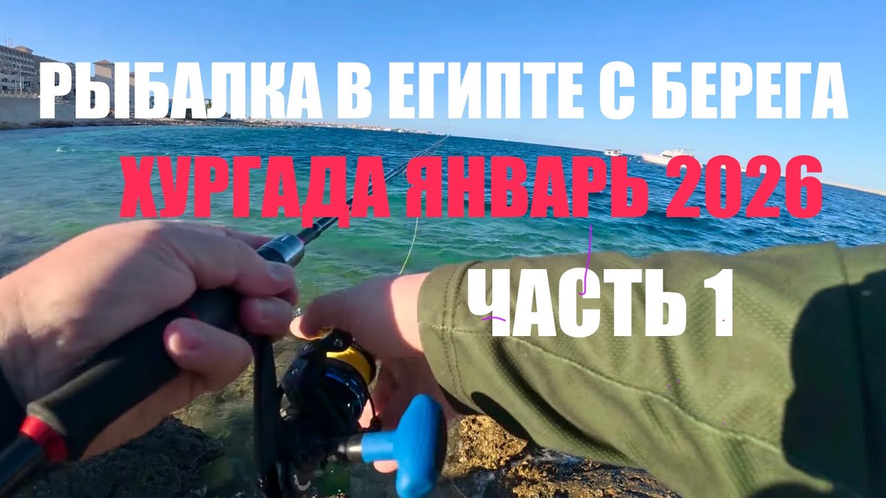 Рыбалка с берега в Египте в Хургаде. Январь 2026. Часть 1