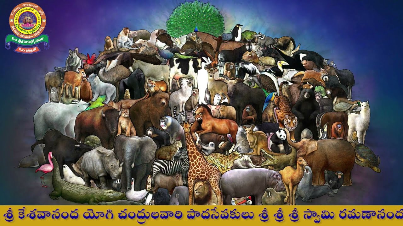 సుజ్ఞానశాస్త్రం తారకలక్షణము Part 05 Sugnana Sastramu {Sri Krishna Rukmini Samvadam}