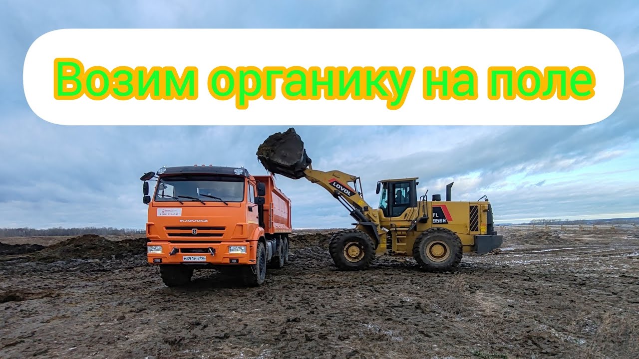 КАМАЗЫ возят органику