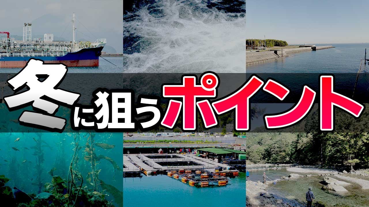 【釣り場の選び方2024冬】寒い冬でもなんとか魚を釣りたい
