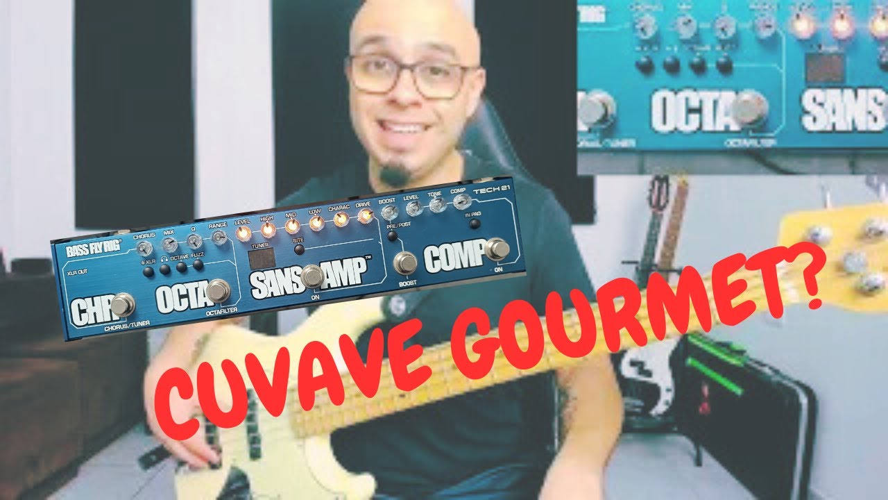 Review SANSAMP FLY RIG BASS Tech 21