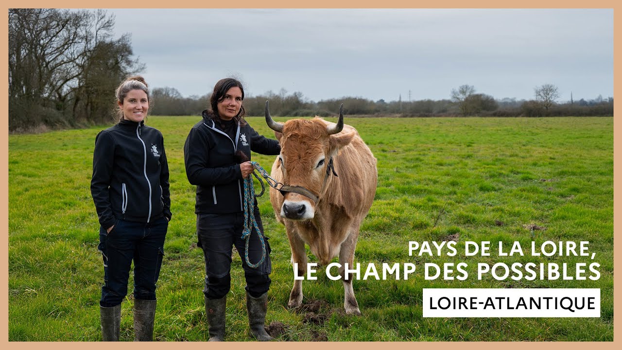 Loire-Atlantique : Mélanie Foucher et Gaëlle Loquais, éleveuses des vaches nantaises à Rouans.