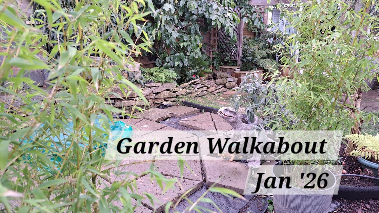 No. 118 - Garden Walkabout Jan '26