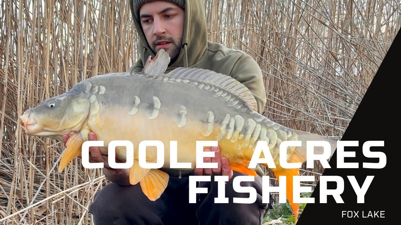 Coole Acres Fishery - Fox Lake - Carp Fishing UK