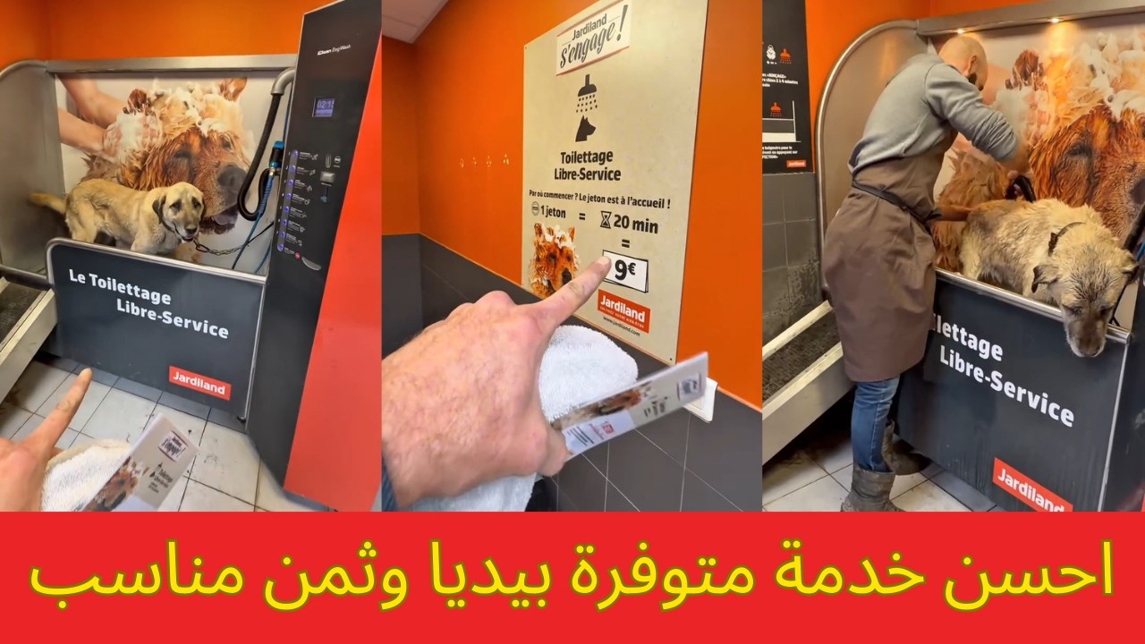 احسن خدمة متوفرة بيديا وثمن مناسب