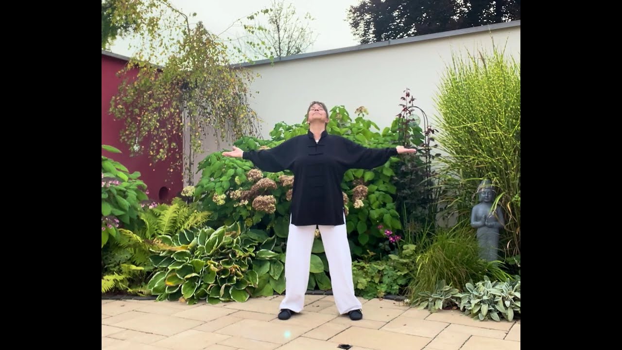 Kranich Qi Gong Teil 1-5