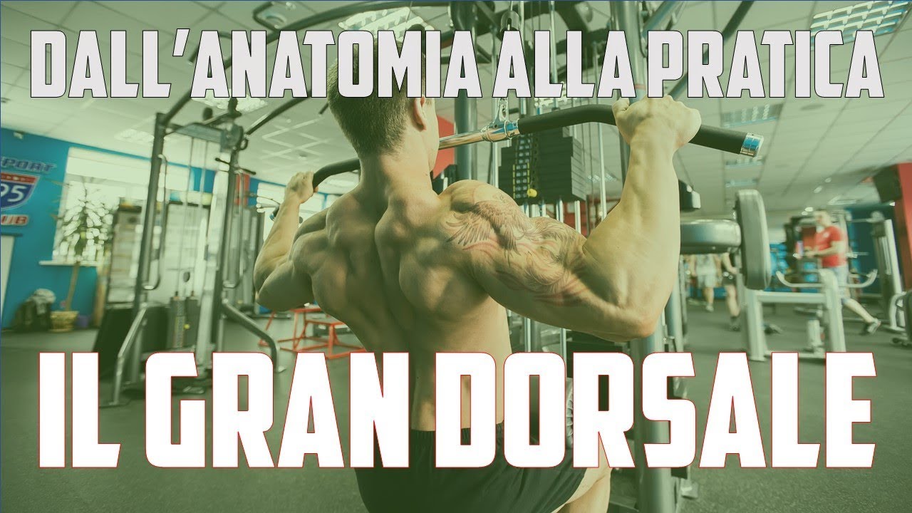 ESERCIZI GRAN DORSALE: dall'anatomia alla pratica