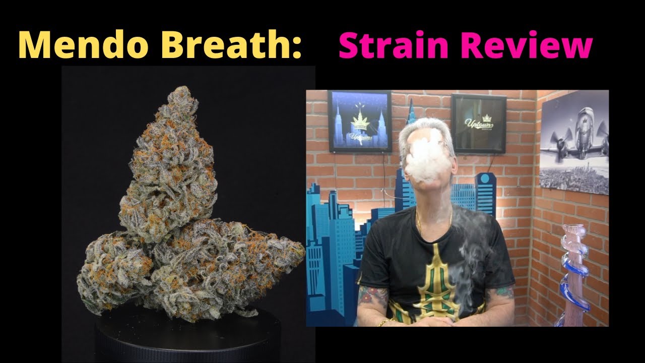 Mendo Breath Strain Review
