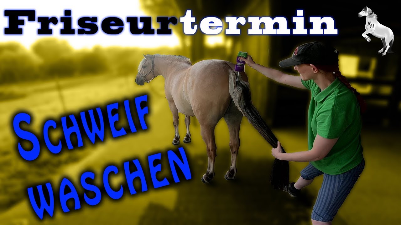 Schweif waschen | an einem heißen Sommertag