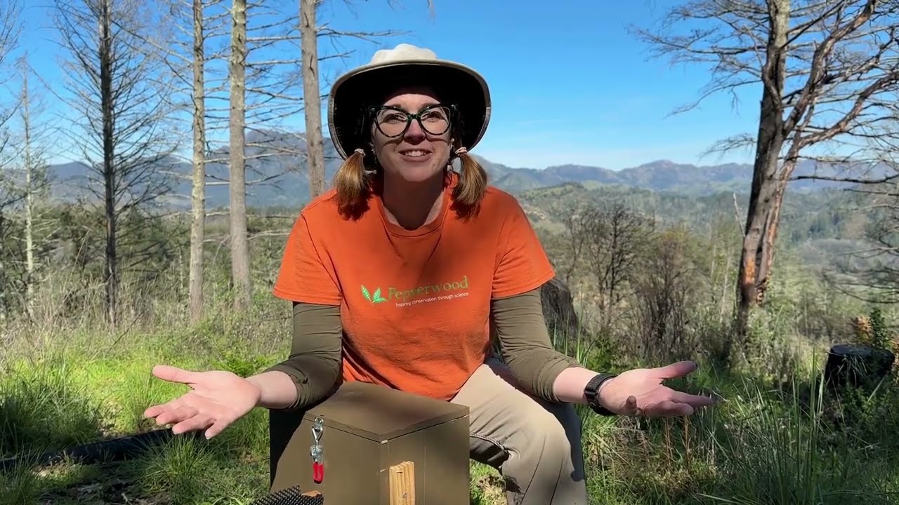 Wildlife Monitoring: Drift Fences & Tiny Critters