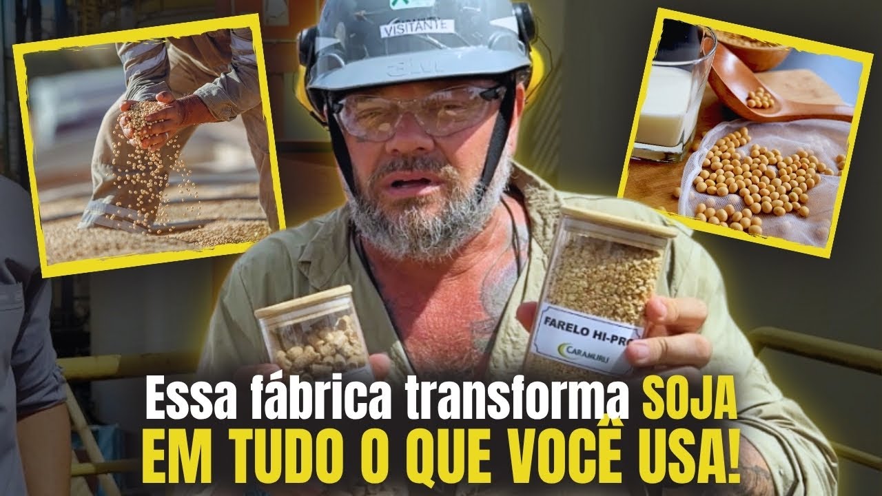 A SOJA ESTÁ NO SEU SHAMPOO, NO DIESEL E ATÉ NO CHOCOLATE! 🌱🚿🍫
