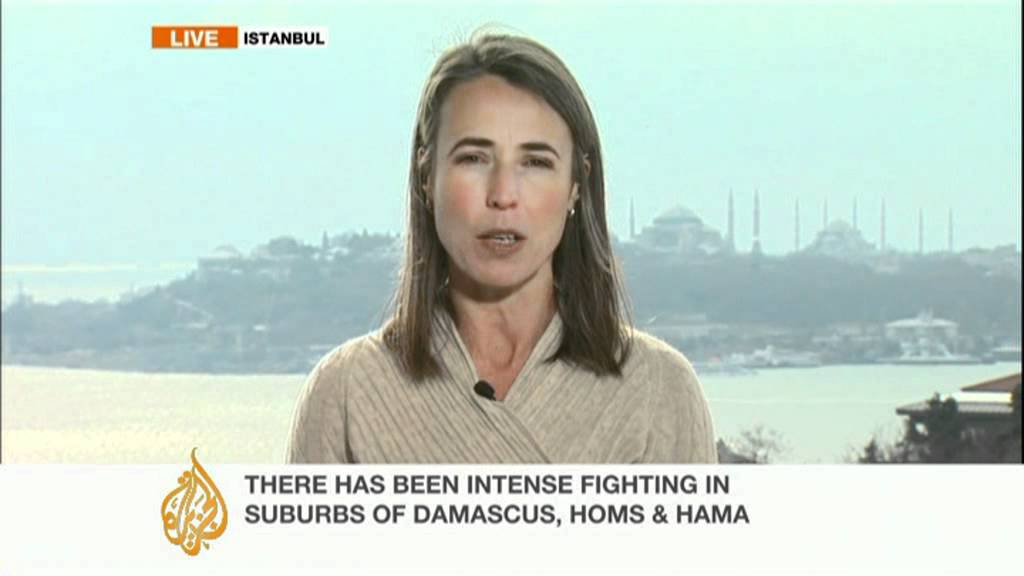 Interview with Anita McNaught on Syria