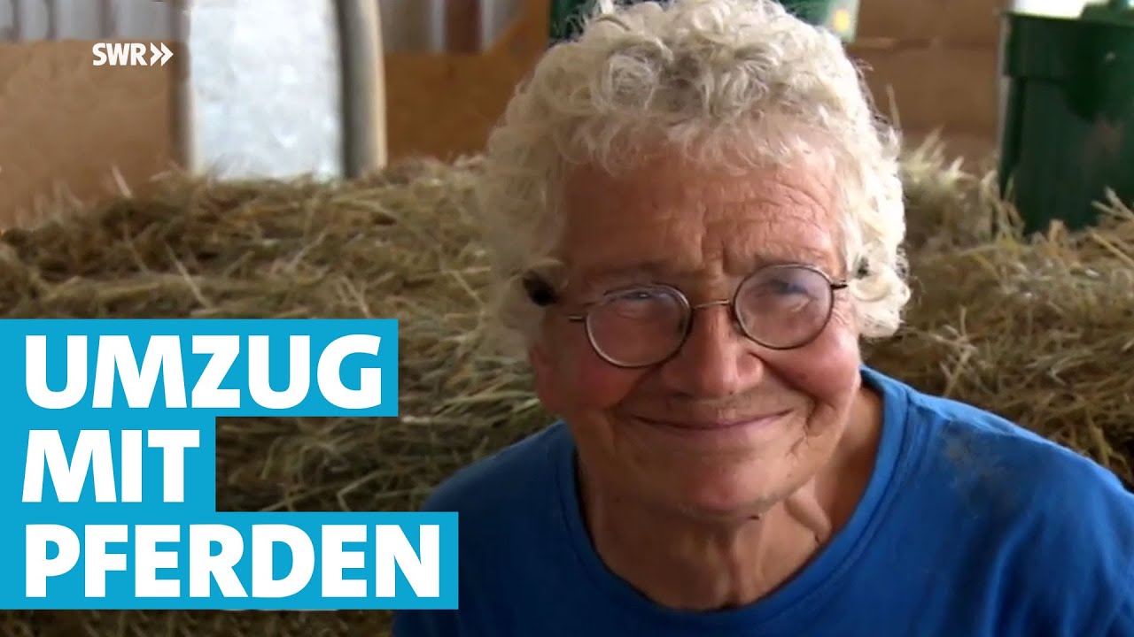Die Pferdeflüsterin zieht um